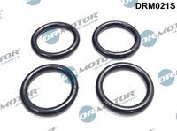 Dr.Motor Automotive Dichtung, AnsaugkrüMmer DRM021S FüR CitroËN Ford Mazda