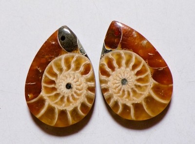 39.25 Cts Natural Ammonite Drilled Cabochon Match Pair Gemstone 28X19.2MM 88