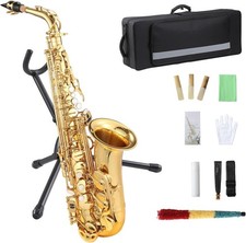 Eb Alto Saxophone Gold Lacquer Brass Sax w/ Mouthpiece Student New Beginner Kit