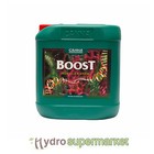 Canna Boost Accelerator 5L Bloom Stimulator, Flower Enhancer