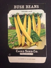 1930-40s Litho Antique Vintage Seed Packet Beans Golden Card Seed Co Pack Mint