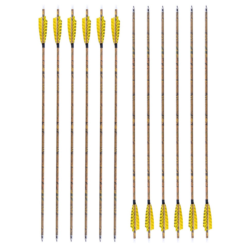 6/12 Carbon Arrows 30
