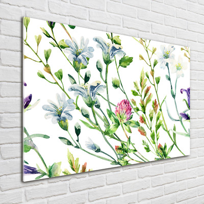 Glas-Bild Wandbilder Druck auf Glas 100x70 Deko Blumen & Pflanzen Wilde Blumen
