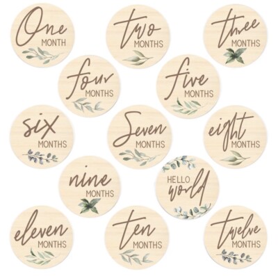 Perfect Baby Photography Props Monthly Milestone Discs To Document Baby s Growth