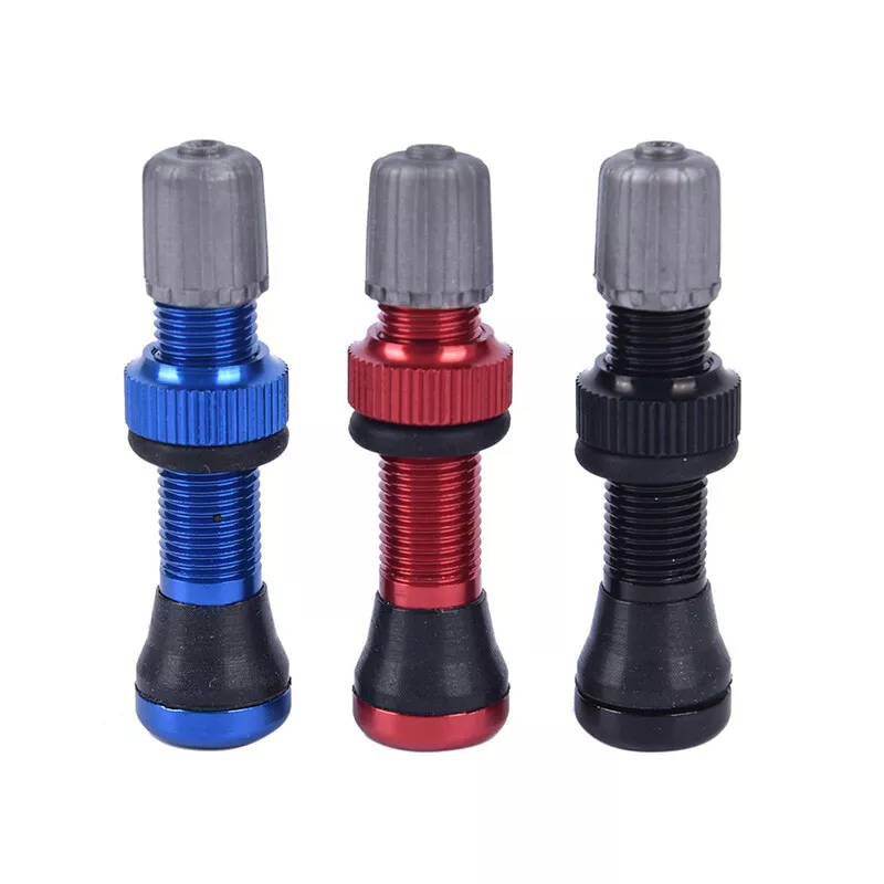 Tubeless on sale valve schrader