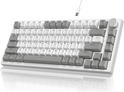 Mechanische Gaming-Tastatur 75% ANSI-Layout 81 Tasten USB-C Grau&Weiß