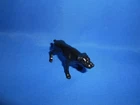 1984 GI JOE ARAH MUTT JUNKYARD DOG BROWN BELLY PART ACCESSORY