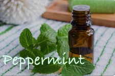 LAVISH - (Spa Day) Versatile Essential Oil Aromatherapy 5ml Glass Dropper Bottle