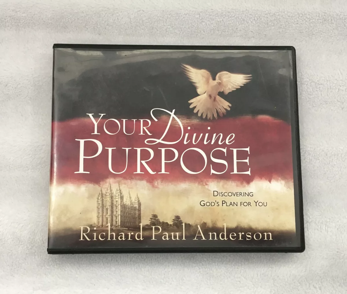 Your Divine Purpose: Discovering God's Plan for You