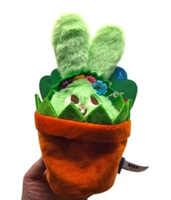 Bark Box Hana the Hippie Hopper Large Dog Toy-NEW