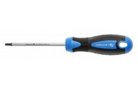 HÖGert Technik HT1S056 Schraubendreher Standard Torx TX25, 100 Mm, Stahl S2, Neu