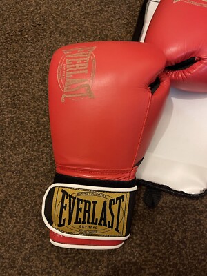 Everlast rote Boxhandschuhe 12