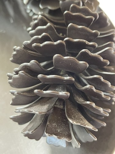 "Vela Zodax raro vintage de bronce pesado con cono de pino adornado 7,5"" abedul" - Imagen 10 de 16