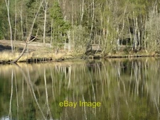 Photo 6x4 The fishpond Chobham Common: birches and their reflections In w c2012