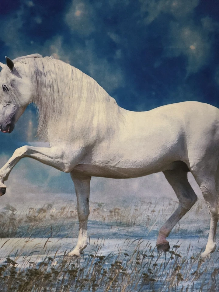 Digitally Printed White Unicorn Beach Fabric Panel 35"L X 44"W By Four Seasons - Image 3 of 4