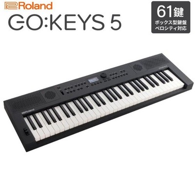 Roland GO KEYS 5 61 Key Box Type Keyboard