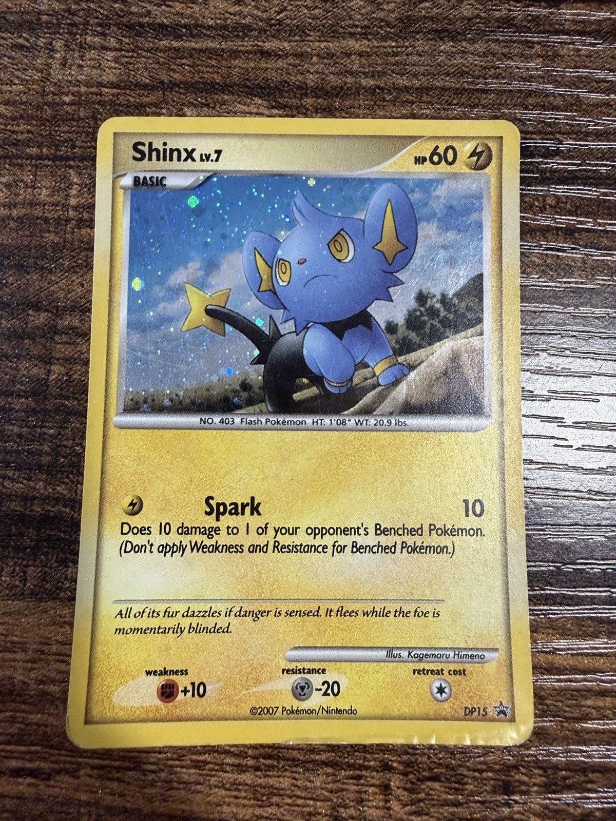Pokémon TCG Shinx Holo Promo Card DP15 Diamond & Pearl 2007