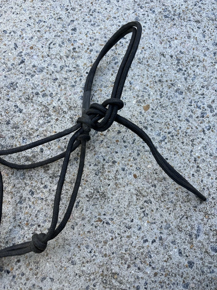 Halter recién nacido Clinton Anderson usado - MUY PEQUEÑO Foto 3 de 4