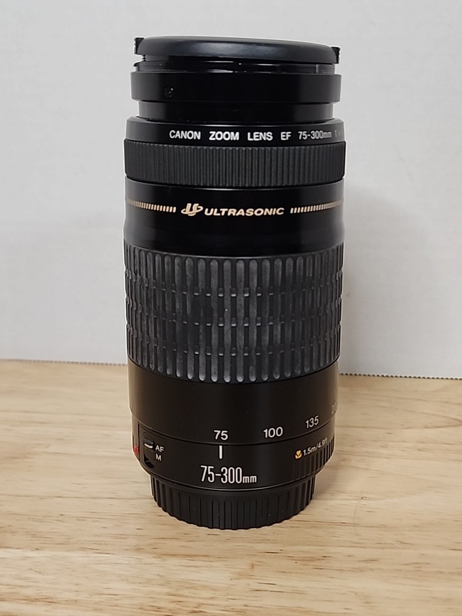 Canon Ultrasonic Zoom Lens EF 75-300mm 1:4-5.6 USM With Box