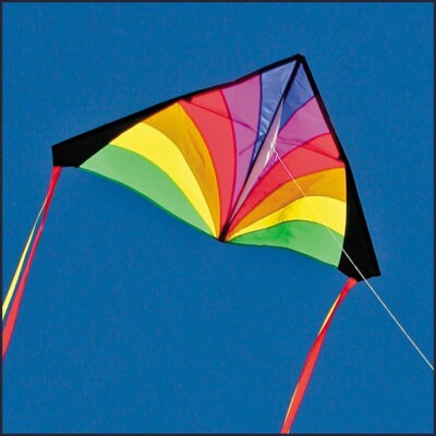 Delta Kite + RipStop Nylon Material + Line on handle + 2-tails + Carry Bag