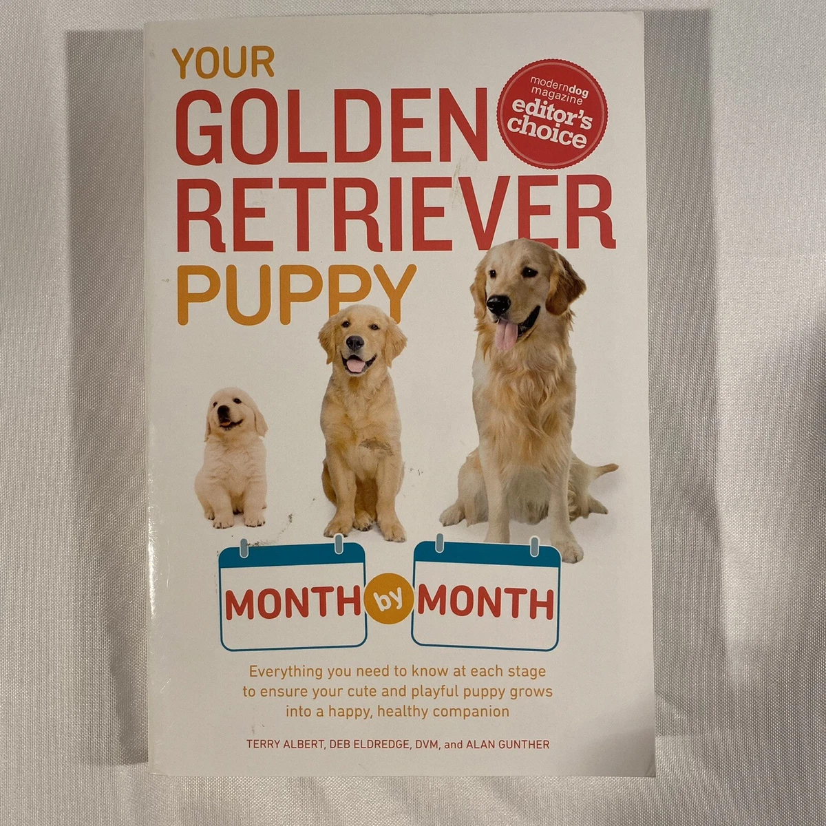 Your golden retriever puppy month best sale by month