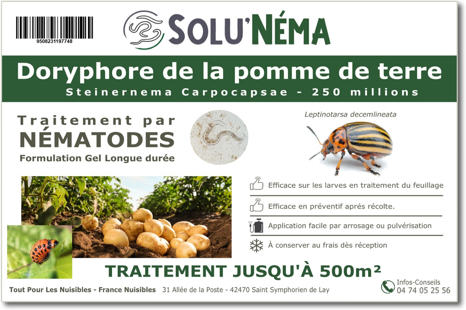 Nématodes anti doryphores SOLUNEMA pour un potager familial sain au naturel