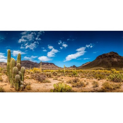 AWERT 36x18 inches Reptile Habitat Background Blue Sky Oasis 36x18in/90x45cm 