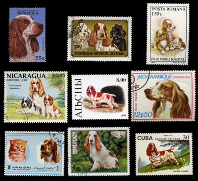 COCKER SPANIEL ORANGE ROT & WEISS HUND INTERNATIONALE BRIEFMARKEN x 9 verschiedene