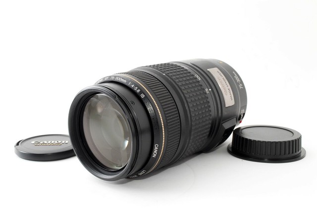 Canon Ef I Is Usm 75 300mm F 4 5 6 Ef Is Usm Lens For Sale Online Ebay