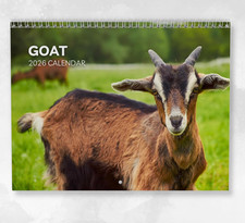 Goat Calendar 2026: Monthly Wall Calendar with Notes, Hanging A4 Size, Includes 