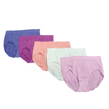 Carole Hochman Set of 5 Seamless Briefs Panties Medium Size Underwear