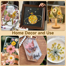 81 Pcs Dried Pressed Flowers for Resin, Real Pressed Flowers Dry Leaves Bulk ...