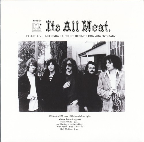 IT'S ALL MEAT Feel It 7" ORANGE vinyl psych garage beat punk Pebbles Underworld - Picture 3 of 6