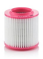 Luftfilter FÜR Audi A8 D3 (4E2, 4E8) - MANN-FILTER C 1343