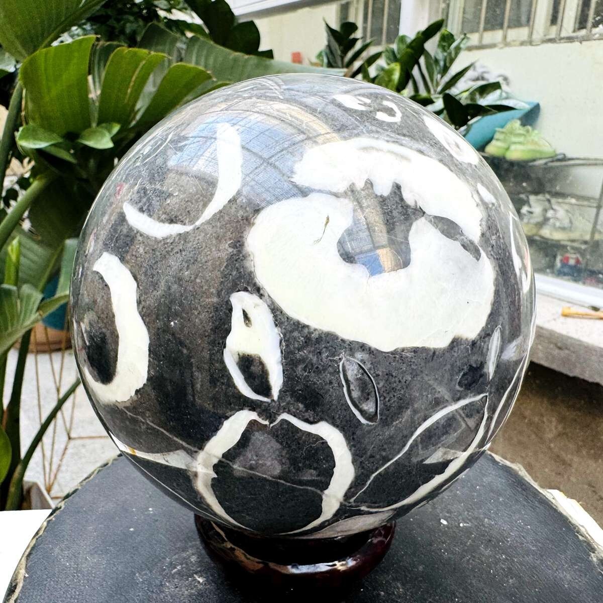 9.41LB Natural Shellstone Quartz Ball Crystal Sphere Meditation Energy Healing