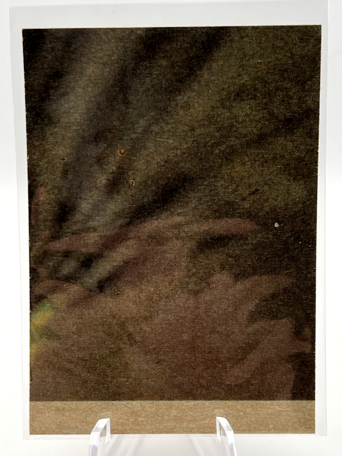 Picture 19 of 100