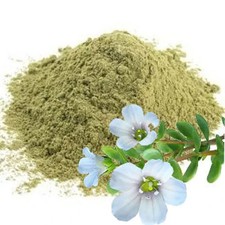 Organic Bacopa Moniera, Brahmi Powder For Memory Boaster Indian Herb