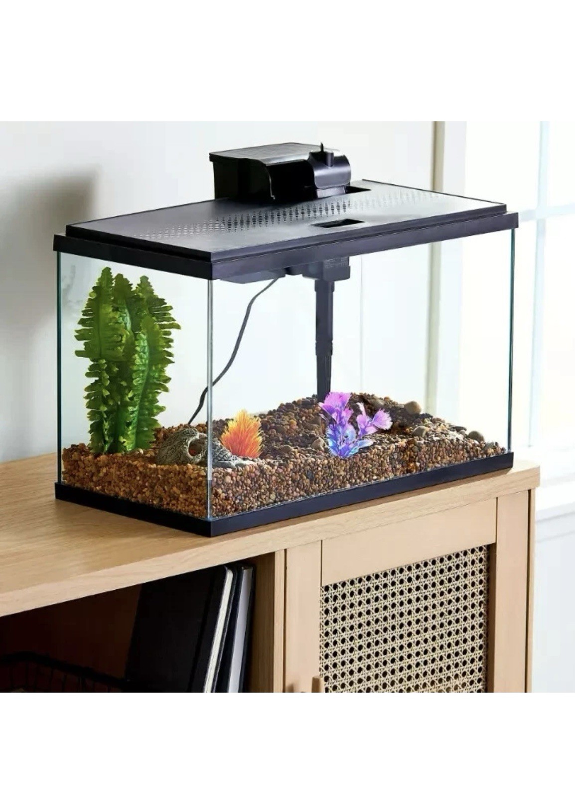 5-Gallon Glass Aquarium Starter Kit with LED Light by Aqua Culture