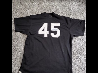 Michael Jordan #45 Autographed Spring Training Baseball Batting Jersey 