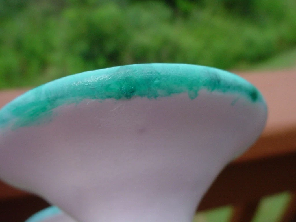 Picture 6 of 6