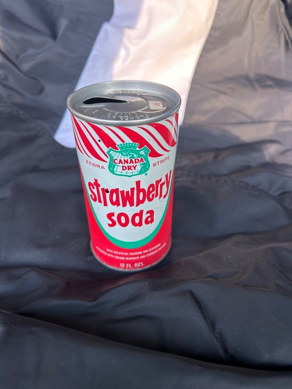 Vintage Canada Dry Strawberry Soda 1970’s Empty 12 oz. Steel Pull Tab Soda Can