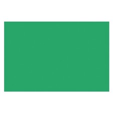 Pacon Sunworks Construction Paper - 12" X 18" - Holiday Green PAC8007 