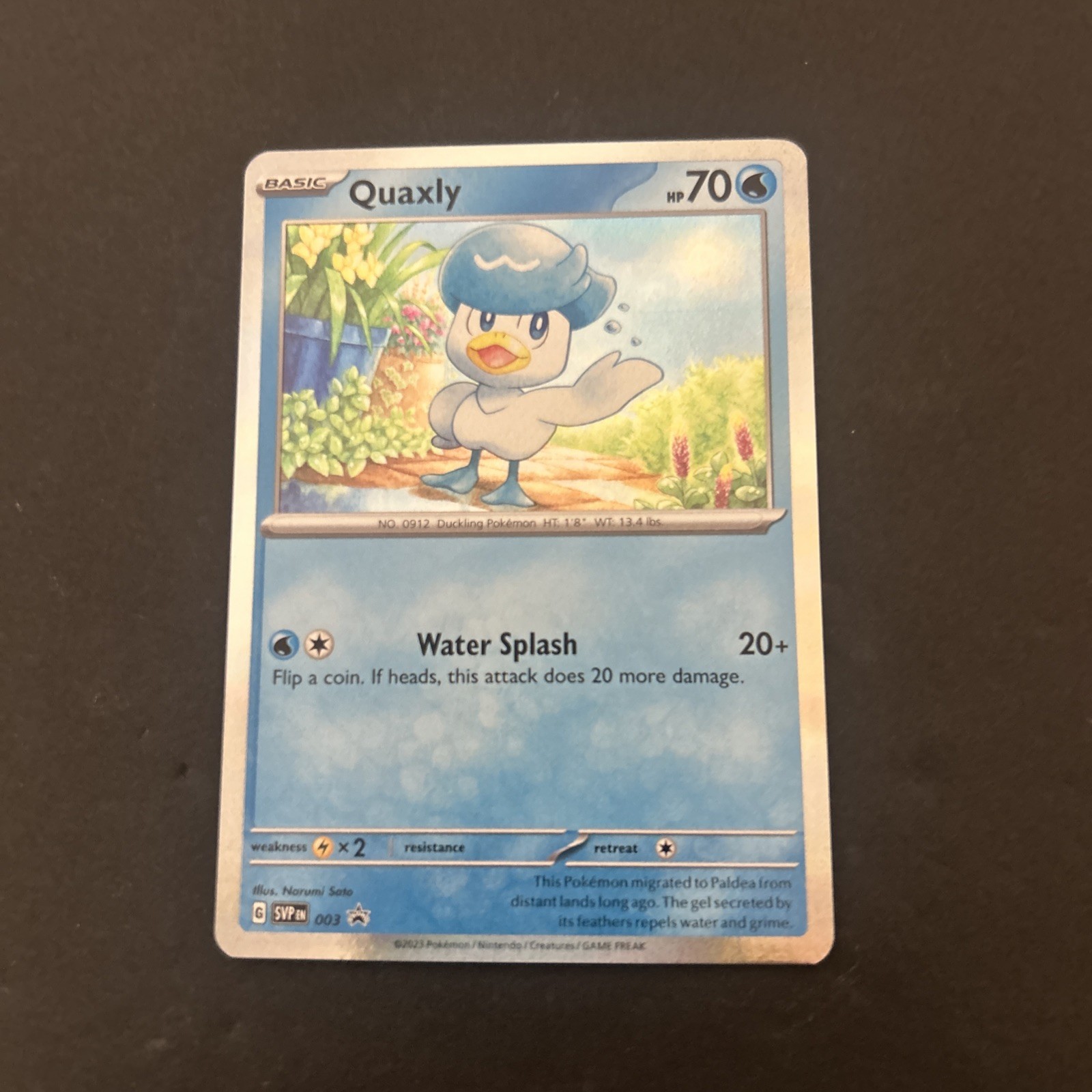 Quaxly Holo Black Star Promo - SVP003 - Scarlet & Violet Pokemon 2023 NM/M 💎
