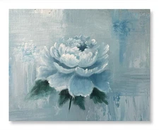 《冰蓝绽放》（Glacial Blossom） 