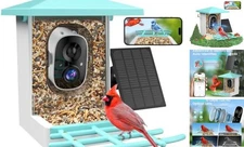 Smart Bird Feeder with Camera, AI Identify 16,000+ Birds, 5W Bright Green