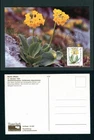 1983 Germany Berlin 60pf Auricula FDC Endangered Alpine Flowers Maximum Postcard