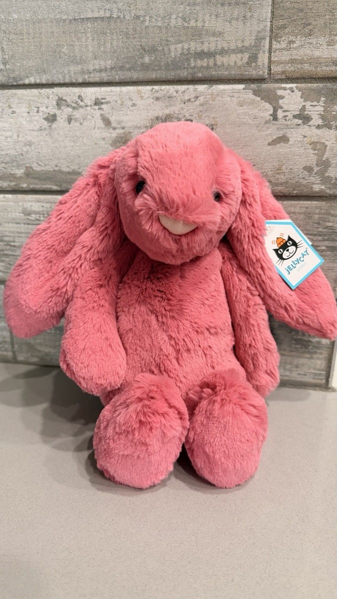 Jellycat Medium Cerise Bashful Bunny NWT Retired & Rare Authentic