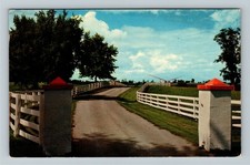 Lexington KY-Kentucky, Calumet Farm, c1963 Vintage Postcard