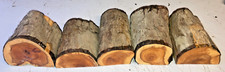 HALF LOGS 5PCS LOT 321A YEW WOODTURNING TIMBER BLANK