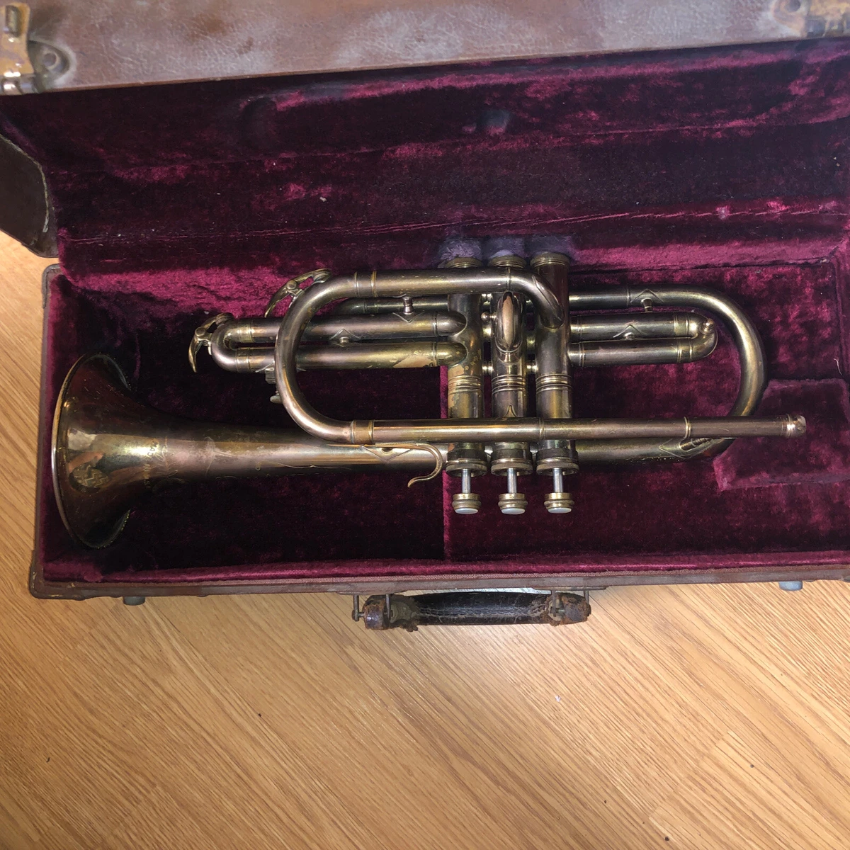 Pan cheap american cornet